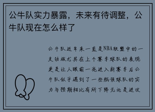 公牛队实力暴露，未来有待调整，公牛队现在怎么样了